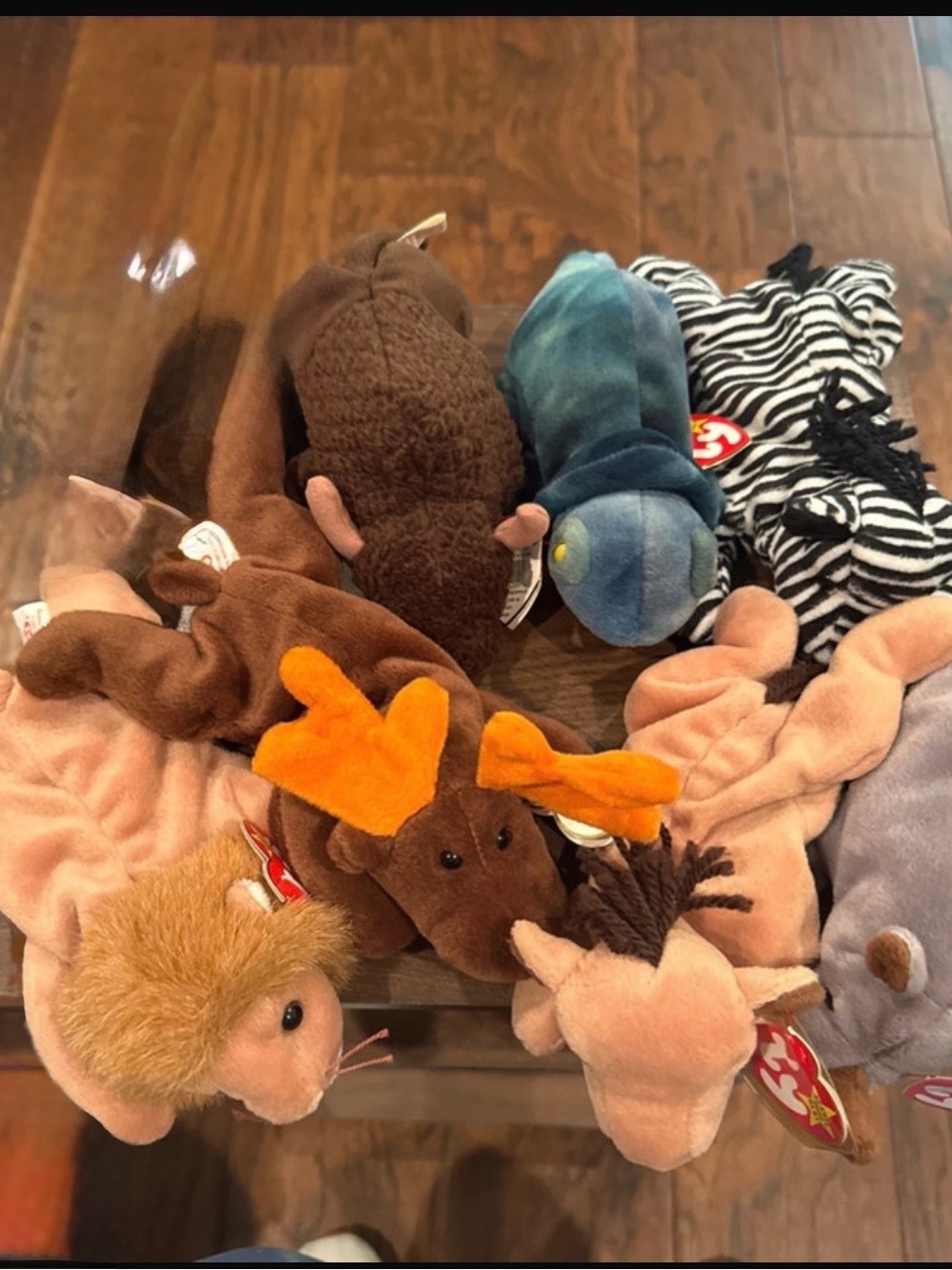 Lot of 7 Vintage Ty Beanie Babies Zoo/Safari Animals With Tags